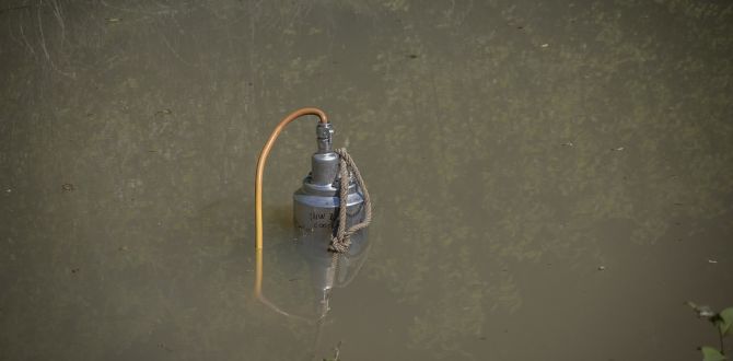 1 img 1 img